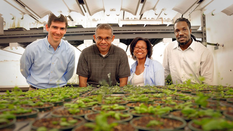 N.C. Cooperative Extension is committed to diversity.