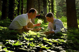 Extension agent in forest