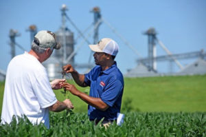 Farmers in Field