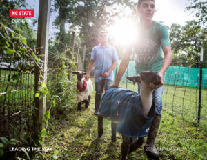 Cover of 2019 NC State Extension Annual Report shows two young boys leading goats in a field with the sunset in the background