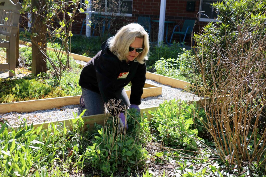 Wake County Master Gardener program volunteers therapeutic horticulture