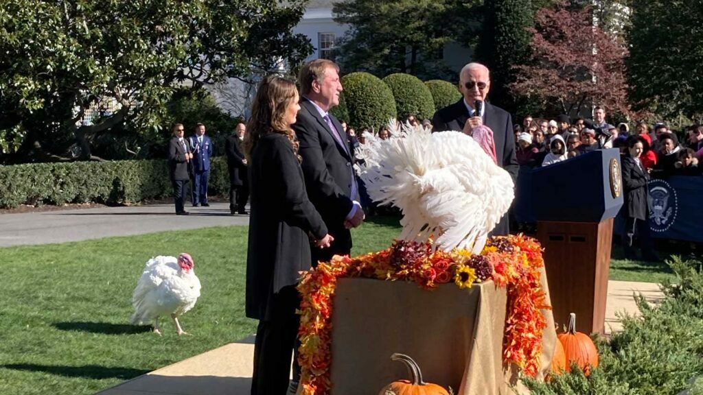 NC State Extension Thanksgiving turkey presidential pardon