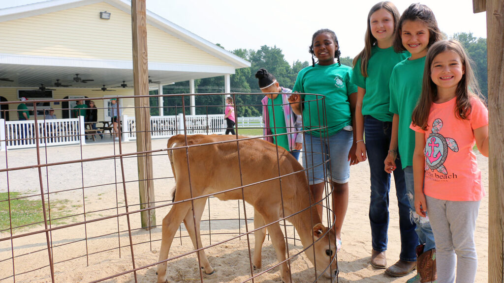 NC State Extension dairy team gives expert advice 4-H dairy team cow program