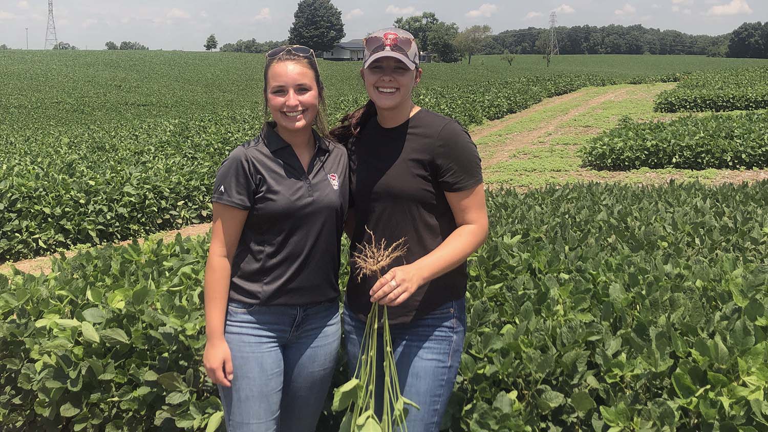 NC State Extension internship program trains future Extension professionals agents and specialists