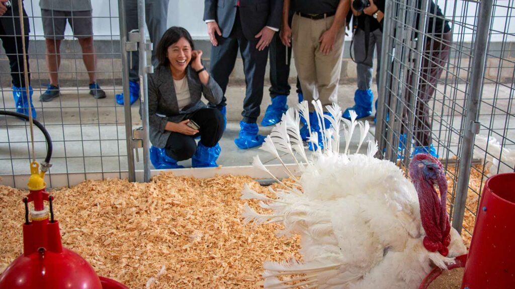 United States trade ambassador Katherine Tai North Carolina governor Roy Cooper visit NC State turkey research Extension facility 