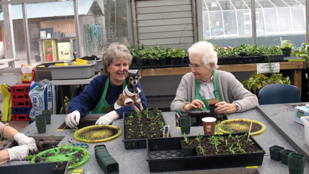 Therapeutic horticulture gardening benefits NC State Extension New Hanover County