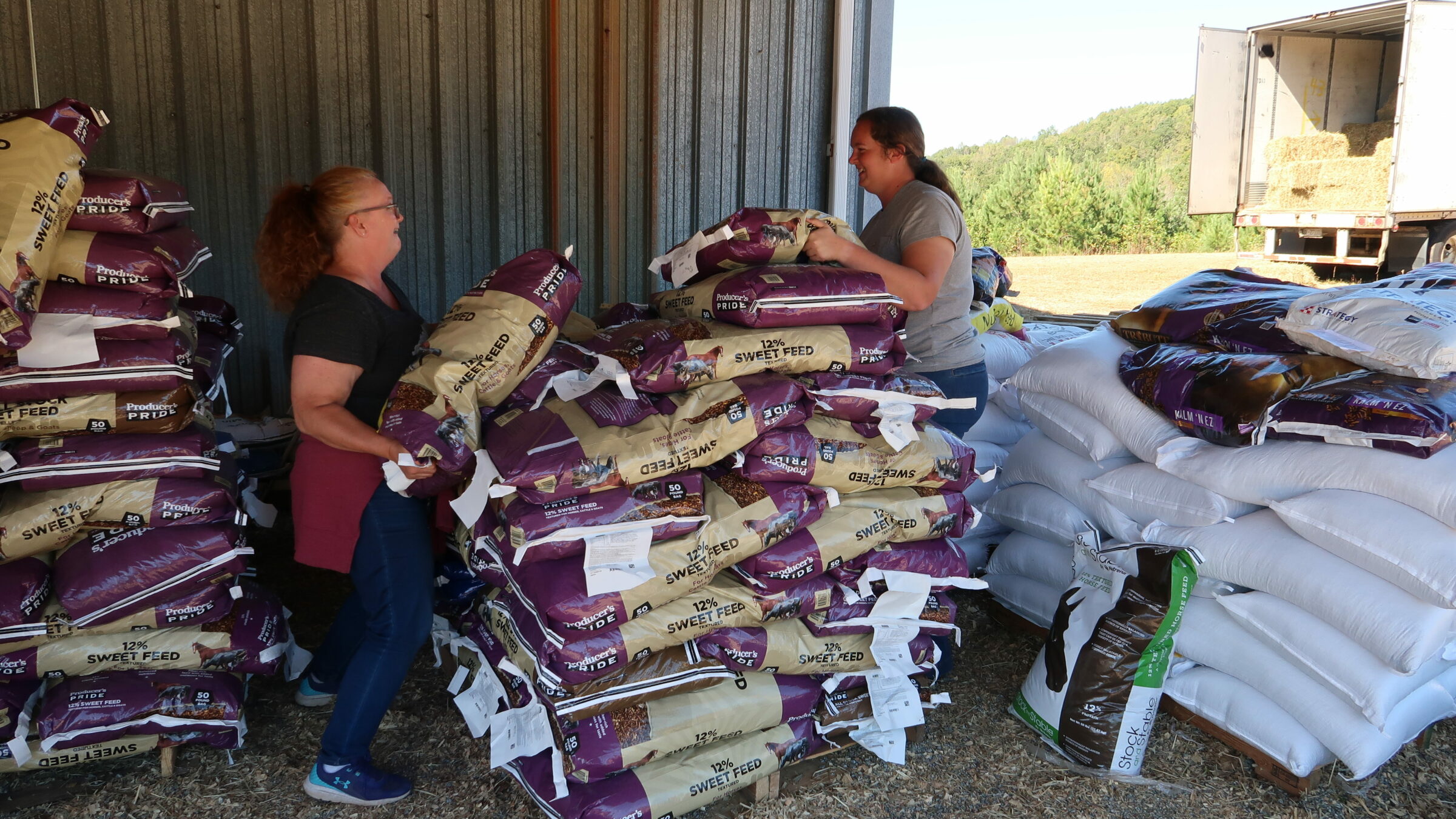 Extension employees and volunteers assist with local donations and recovery efforts for Western North Carolina in the wake of Hurricane Helene.