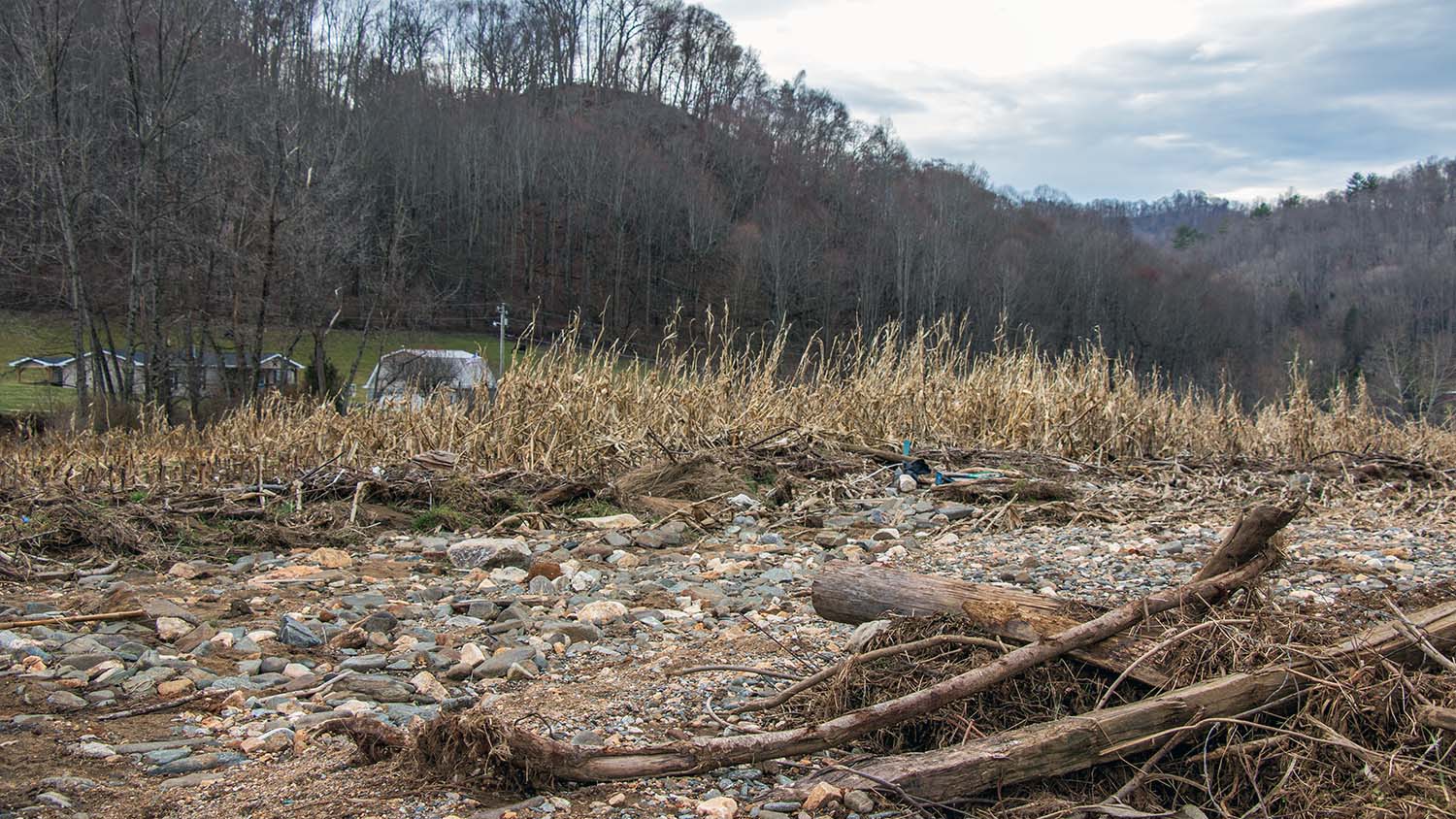 NC State Extension Hurricane Helene Yancey County help and hope