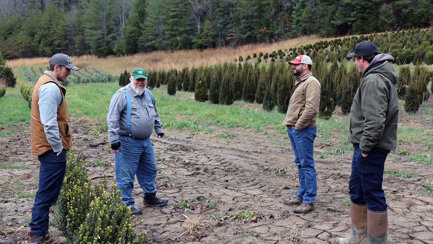 NC State Extension Hurricane Helene response helping North Carolina ornamental industry