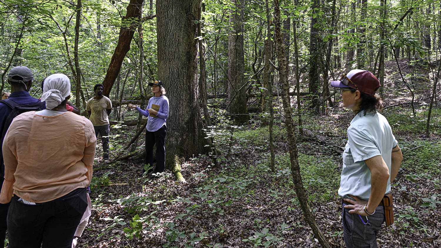 NC State Extension agroforestry farm tour Durham County forest farming alley cropping