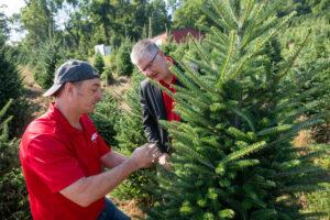 CALS Dean Garey Fox examines Christmas trees with Jim Hamilton, N.C. Cooperative Extension director for Watauga County.