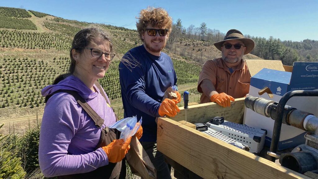 NC State Extension Christmas tree experts help growers producers and consumers Hurricane Helene