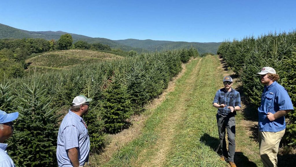 NC State Extension Christmas tree experts help growers producers and consumers Hurricane Helene