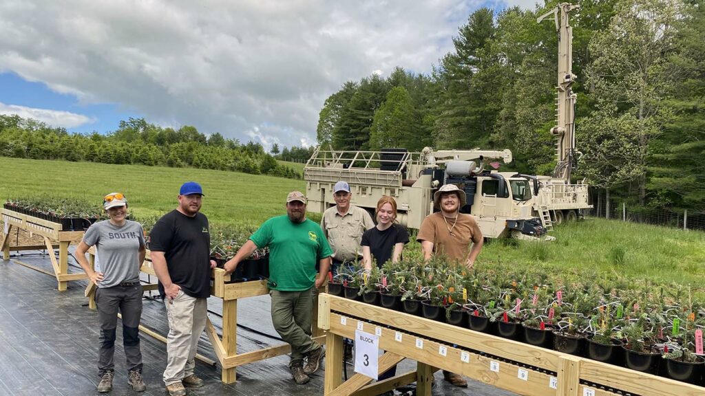NC State Extension Christmas tree experts help growers producers and consumers Hurricane Helene
