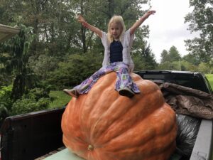 A young girl sits on a giant pumpkin in the back of a pickup truck at an NC State Extension research plot in the North Carolina mountains, surrounded by vines and other foliage, showing the scale of the pumpkin.